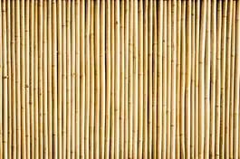 "למרות חוזקו של דק הבמבוק, הוא נחשב לעץ קל וגמיש"